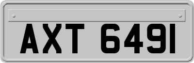 AXT6491