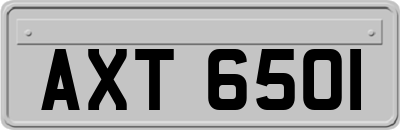 AXT6501