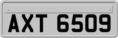 AXT6509