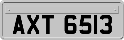 AXT6513