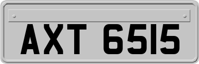 AXT6515
