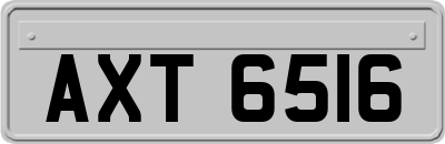 AXT6516