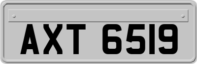 AXT6519