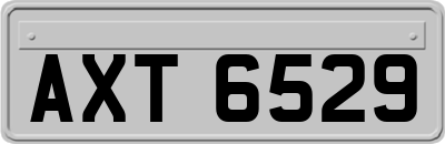 AXT6529