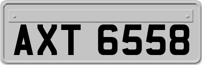 AXT6558