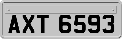 AXT6593