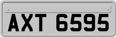 AXT6595