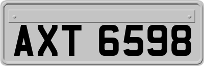 AXT6598
