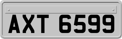 AXT6599