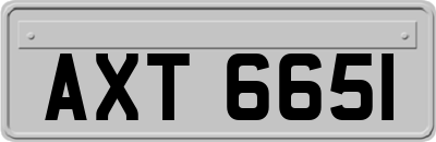 AXT6651