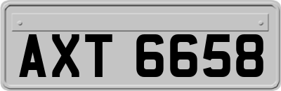 AXT6658