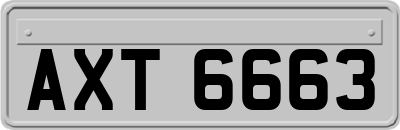 AXT6663