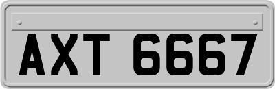 AXT6667
