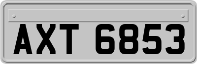 AXT6853