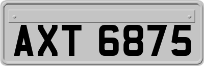 AXT6875