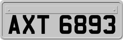 AXT6893