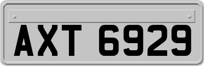 AXT6929