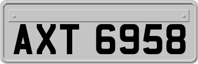AXT6958