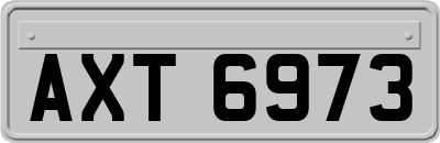 AXT6973