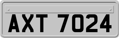 AXT7024