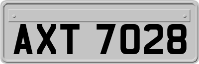 AXT7028