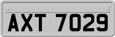 AXT7029