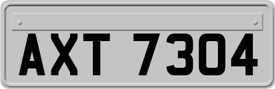 AXT7304