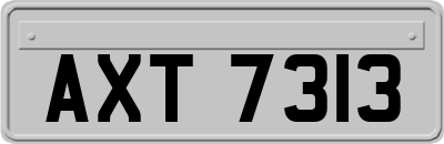 AXT7313