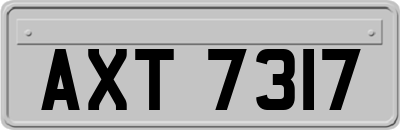 AXT7317