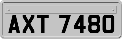 AXT7480