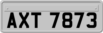 AXT7873