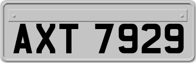 AXT7929