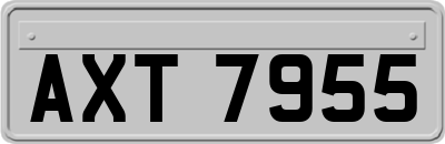 AXT7955