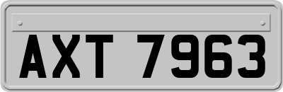 AXT7963
