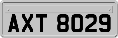 AXT8029