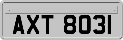 AXT8031
