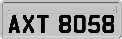 AXT8058