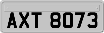 AXT8073