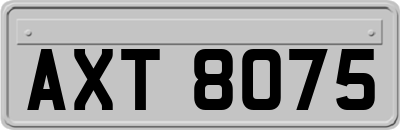 AXT8075