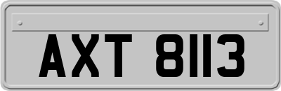 AXT8113