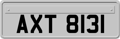 AXT8131