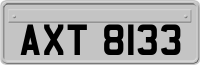 AXT8133