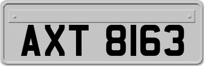 AXT8163