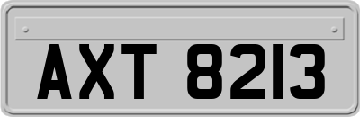 AXT8213