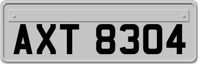 AXT8304