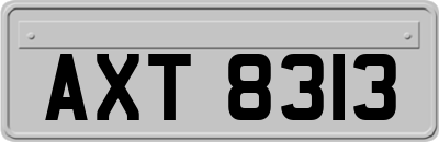 AXT8313
