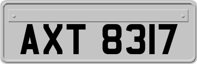 AXT8317