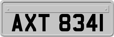 AXT8341