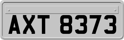 AXT8373