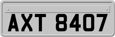 AXT8407